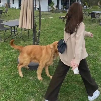 封城之后